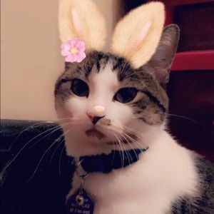 Meet your Posher, Liliana